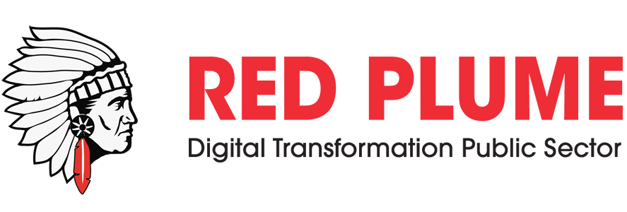Red Plume Digital Transformation Public Sector